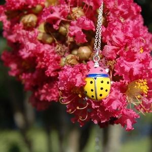 ladybug pendant with silver chain